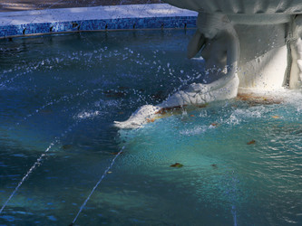 Similar image 22352981