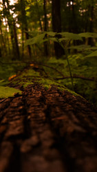 Similar image 22354659