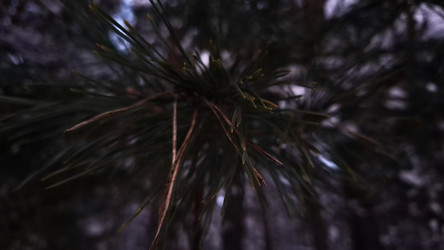 Similar image 22354660