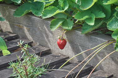 Similar image 22375716