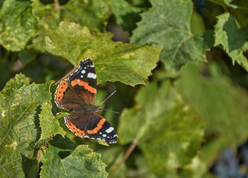 Similar image 22375718