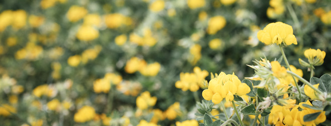 Similar image 22377582