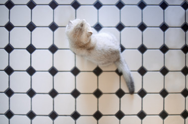 Similar image 22377624