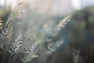 Similar image 22377625