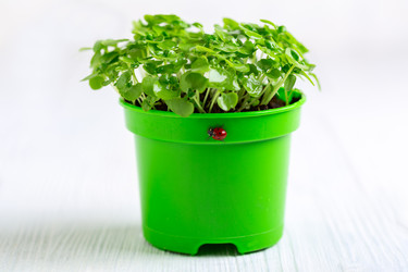 Similar image 22352937