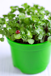 Similar image 22352938