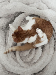 Similar image 22362839