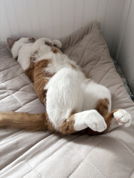 Similar image 22362877