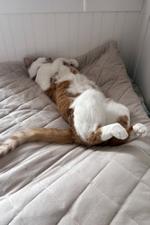 Similar image 22362878