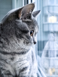 Similar image 22355271