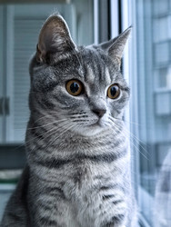 Similar image 22355275