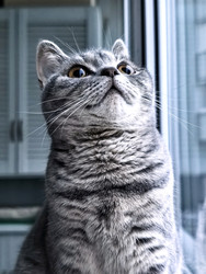 Similar image 22355276