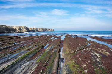 Similar image 22353455