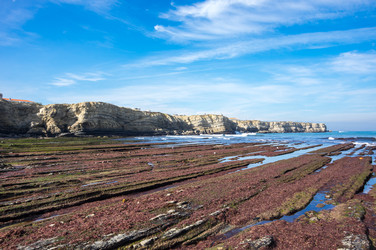 Similar image 22353458