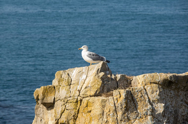 Similar image 22353476