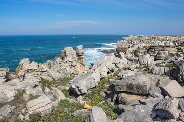 Similar image 22353518