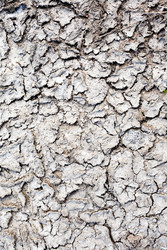 Similar image 22388161