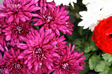 Similar image 22388164