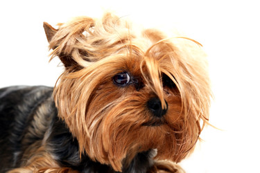 Similar image 22388165