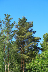 Similar image 22388177