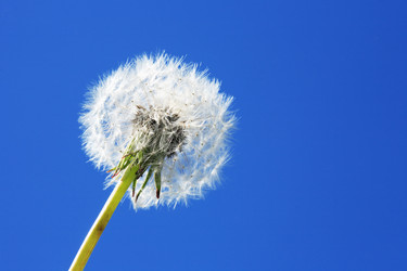 Similar image 22388205