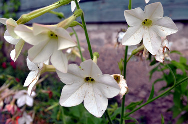 Similar image 22371564