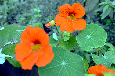 Similar image 22371565