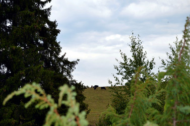 Similar image 22371566