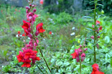 Similar image 22371567