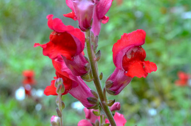 Similar image 22371668