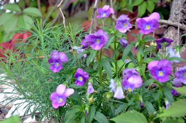 Similar image 22371669