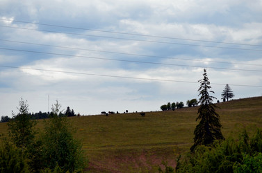 Similar image 22371670