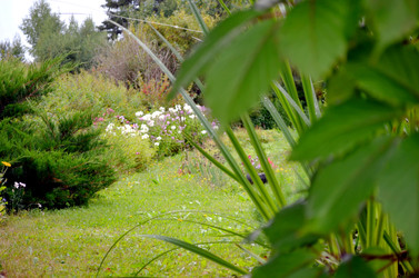 Similar image 22371671