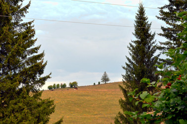 Similar image 22371672