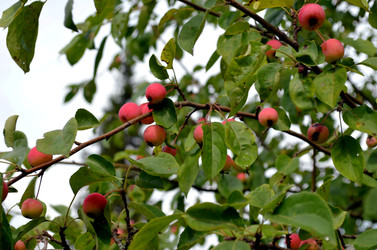 Similar image 22371673