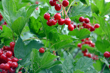 Similar image 22371674