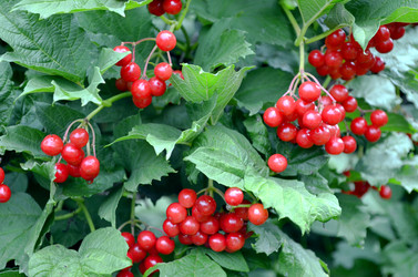 Similar image 22371675