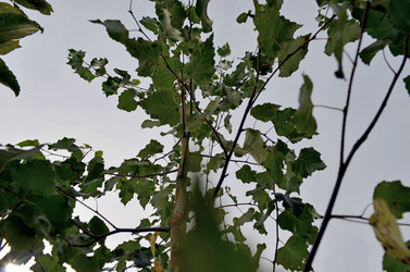 Similar image 22371676