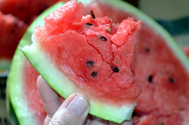 Similar image 22371677