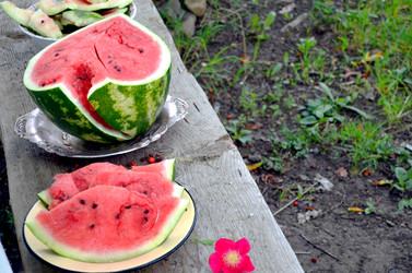 Similar image 22372784