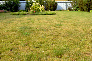 Similar image 22372791