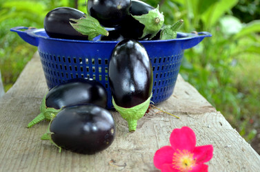 Similar image 22353120