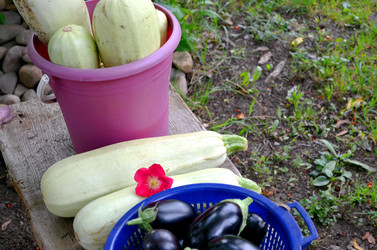 Similar image 22372793