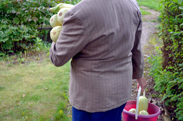 Similar image 22372795