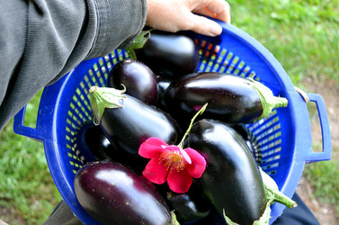 Similar image 22353121