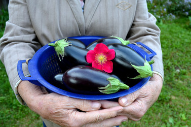 Similar image 22353122