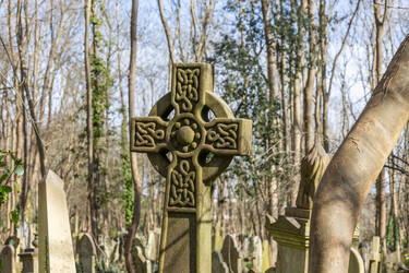 Similar image 22376388