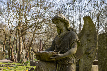 Similar image 22376390