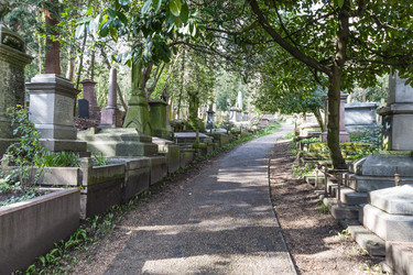 Similar image 22376391