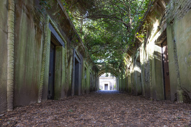 Similar image 22376394